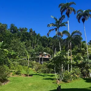 a-daintree-garden.queenslandhotels.net/